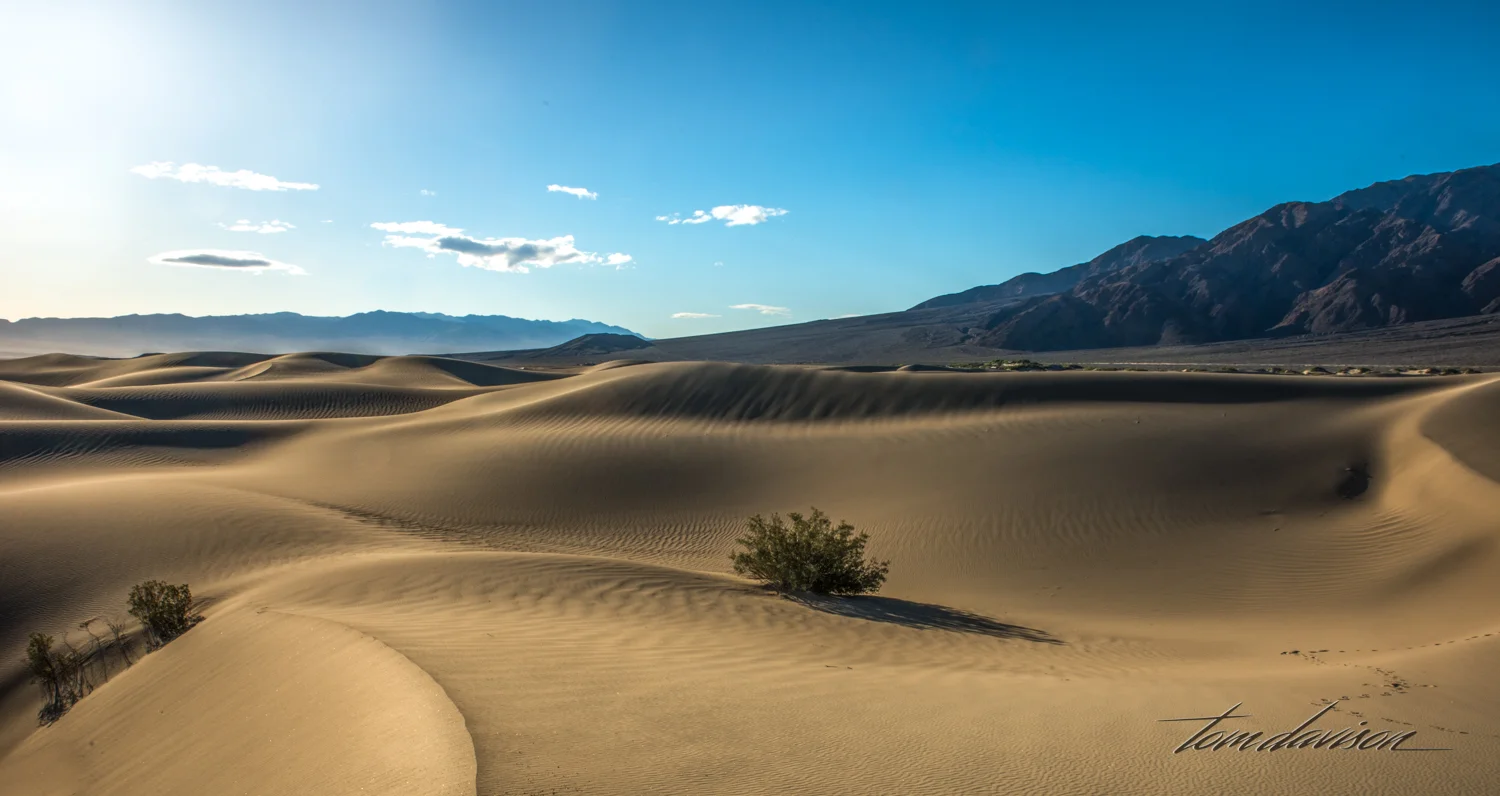 Dunes TD-14.jpg