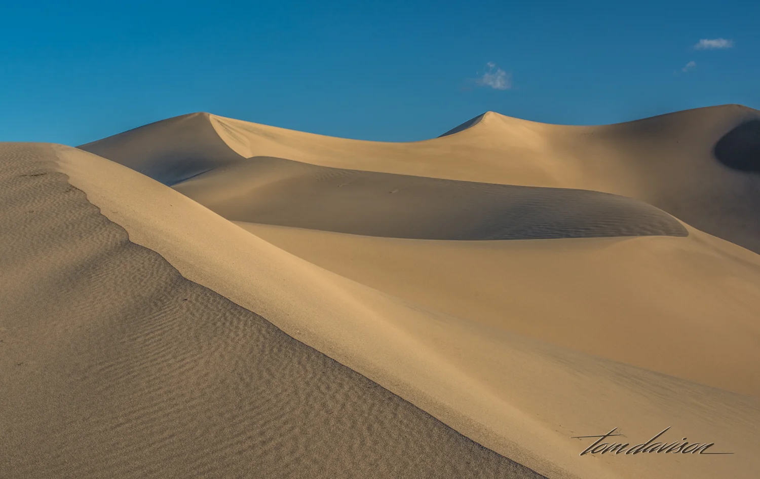 Dunes TD-17.jpg