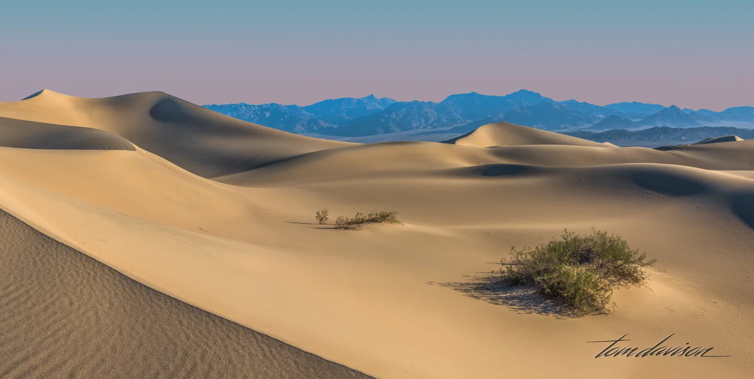 Dunes TD-18.jpg
