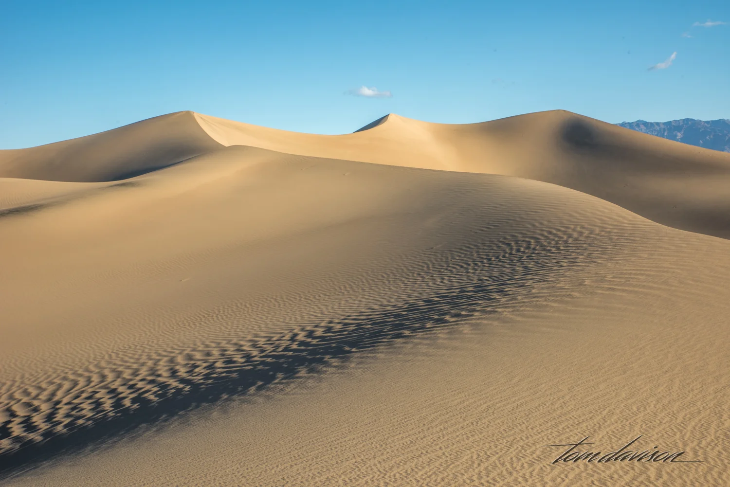 Dunes TD-19.jpg