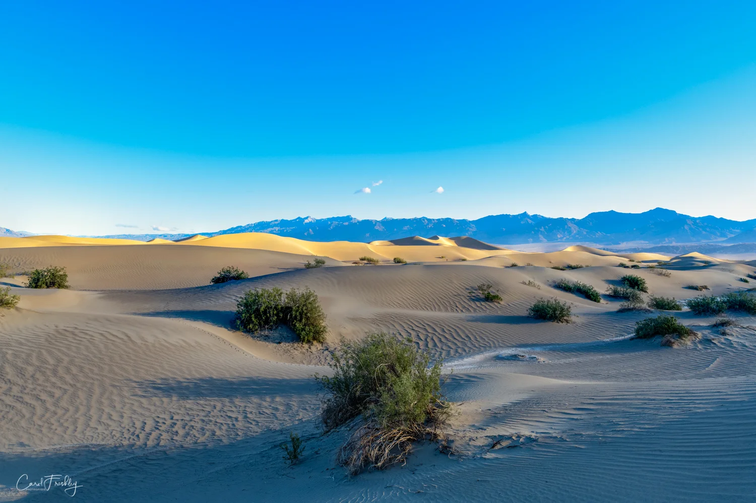 Mesquite Flat Sand Dunes-13.jpg
