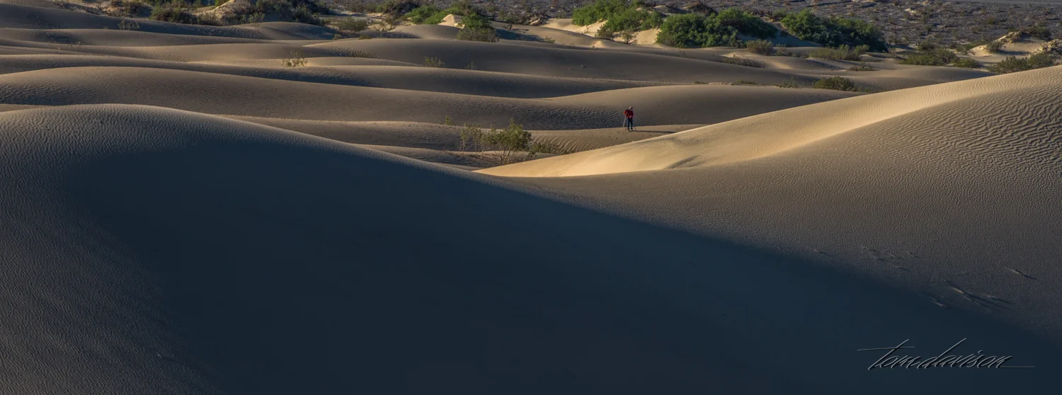 Dunes TD-21.jpg