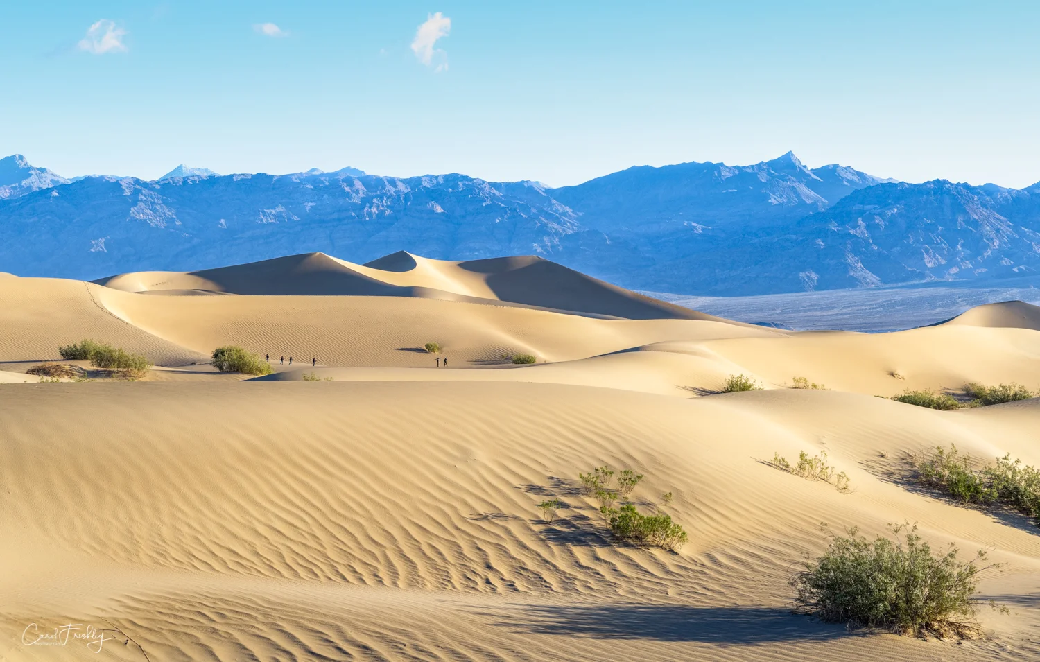 Mesquite Flat Sand Dunes-14.jpg