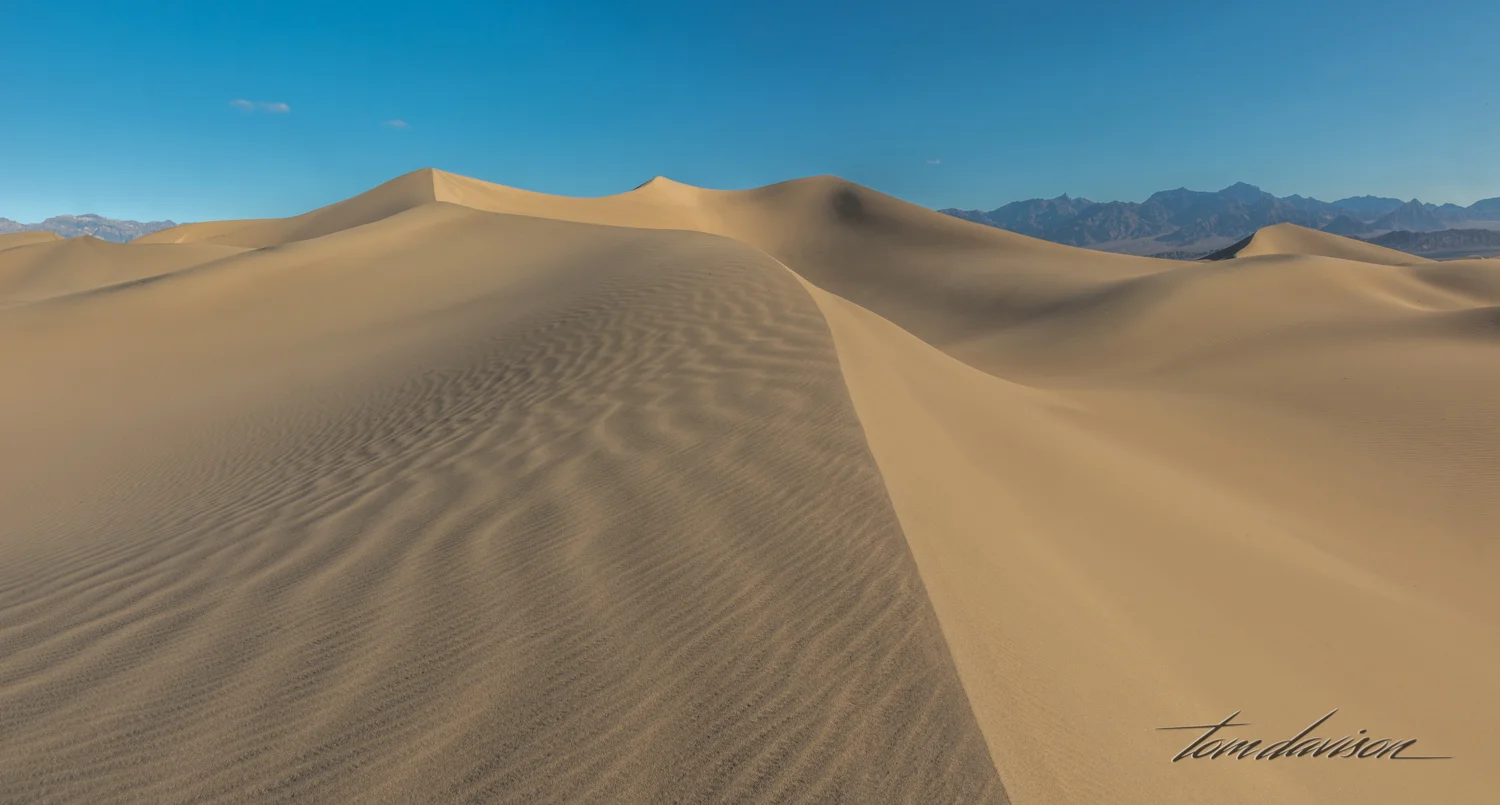 Dunes TD-24.jpg