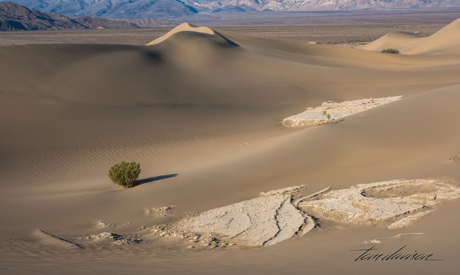 Dunes TD-25.jpg
