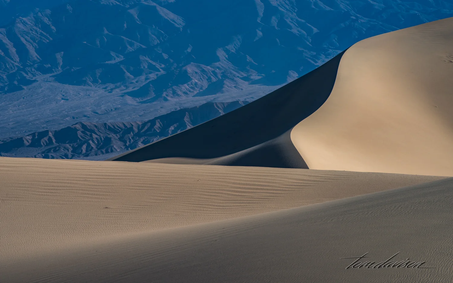 Dunes TD-26.jpg