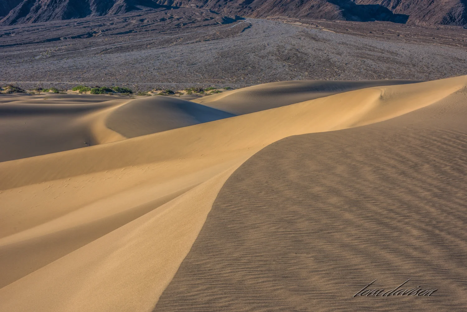 Dunes TD-29.jpg