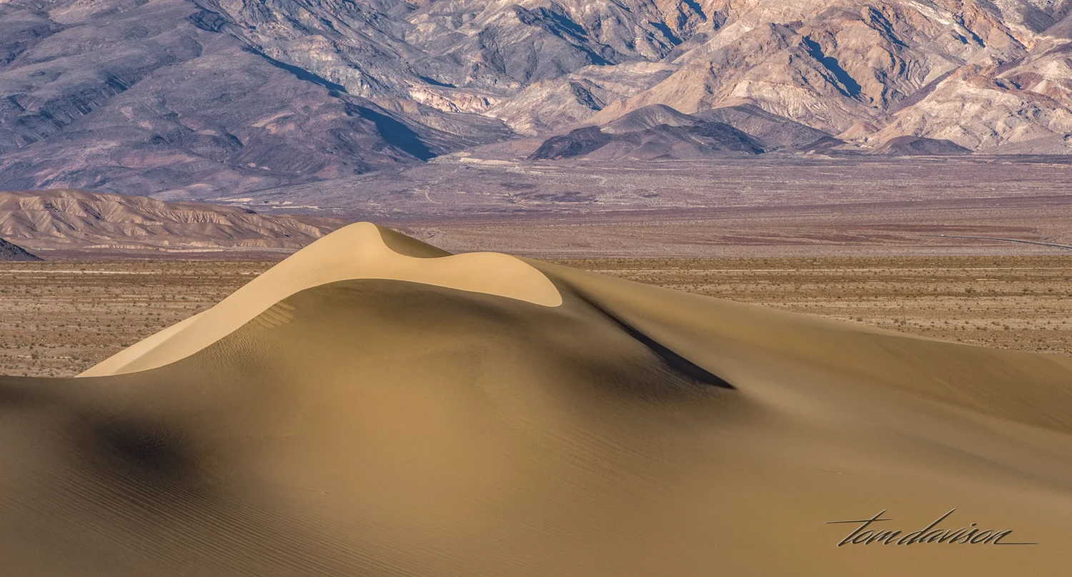 Dunes TD-30.jpg