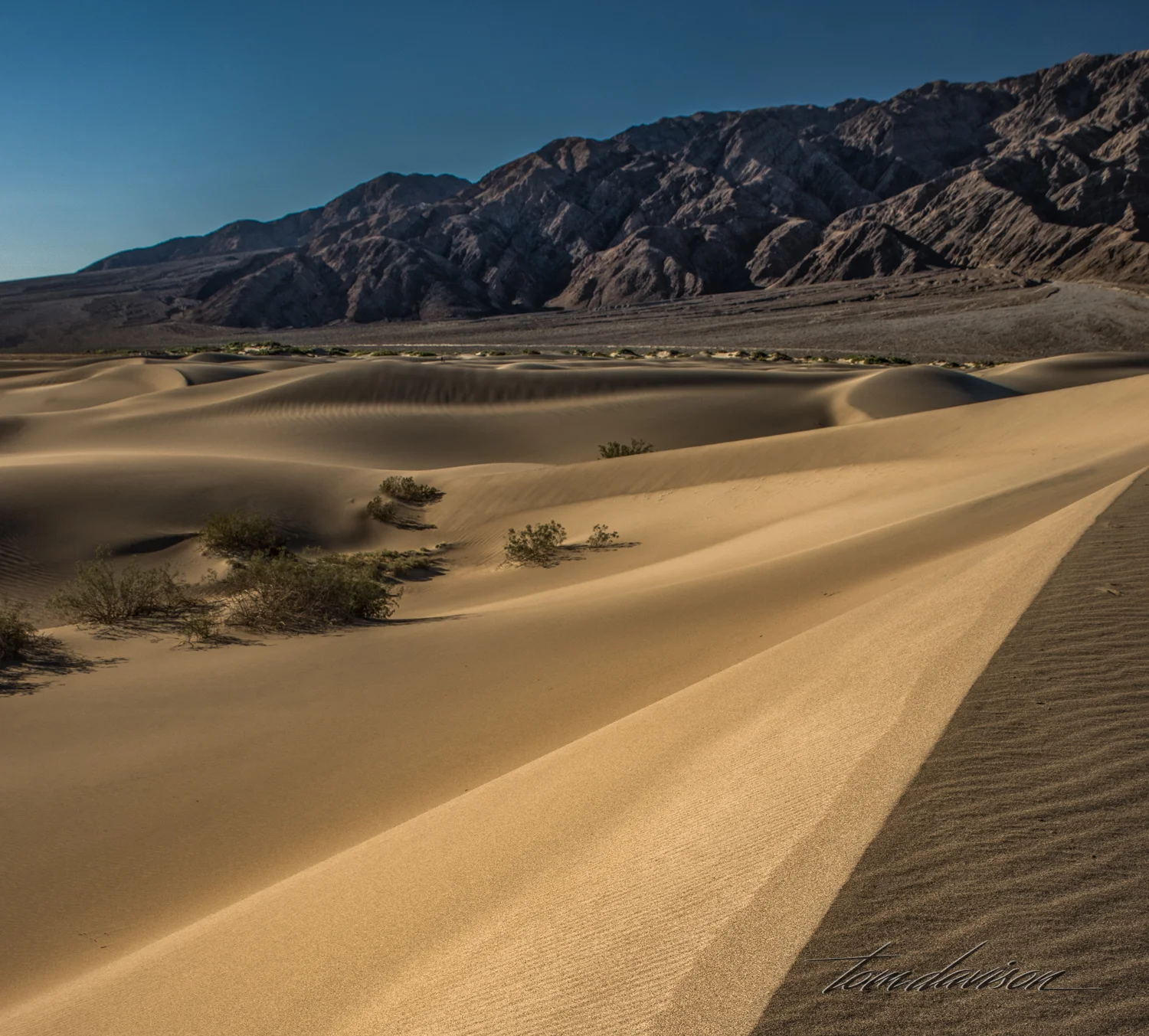 Dunes TD-32.jpg