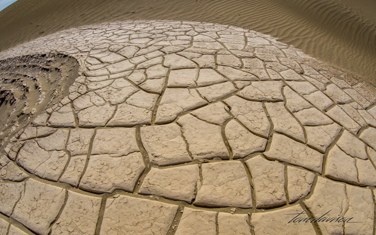 Dunes TD-41.jpg
