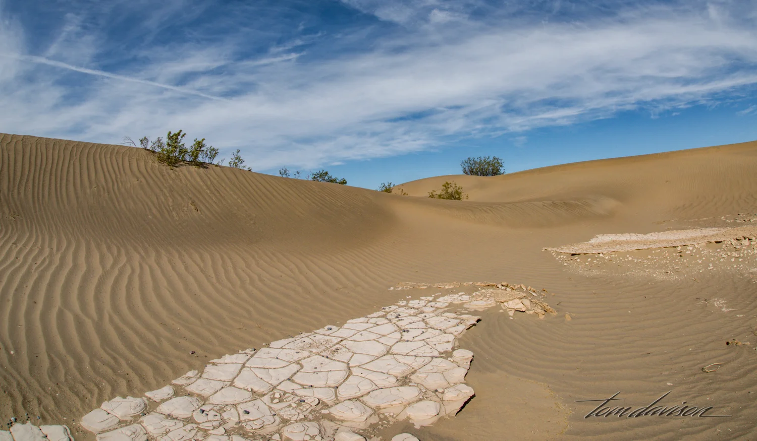 Dunes TD-36.jpg