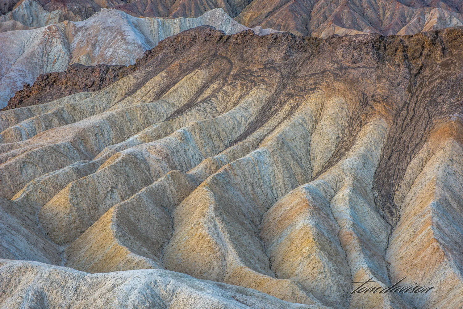 Zabriskie 2 TD-5.jpg