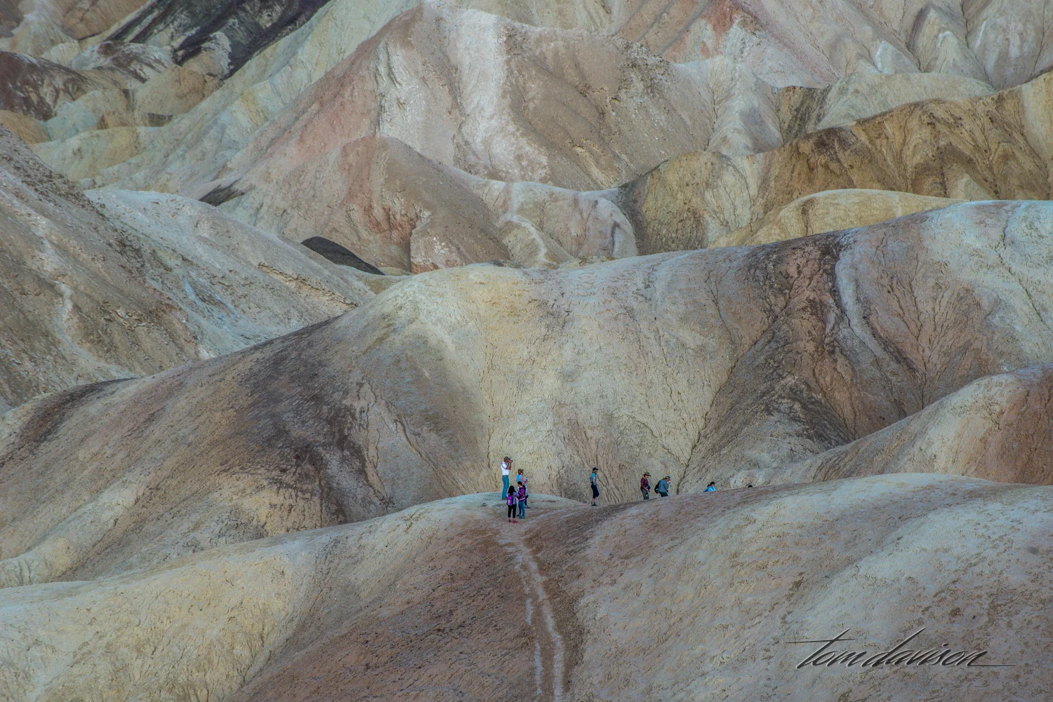 Zabriskie 2 TD-7.jpg
