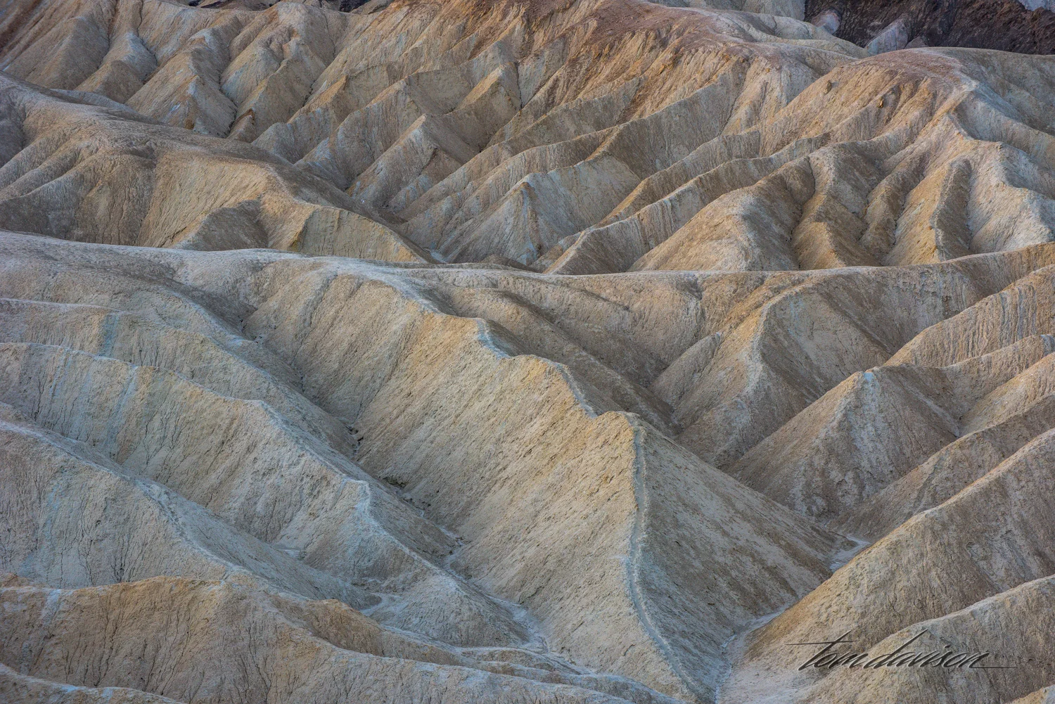 Zabriskie 2 TD-12.jpg