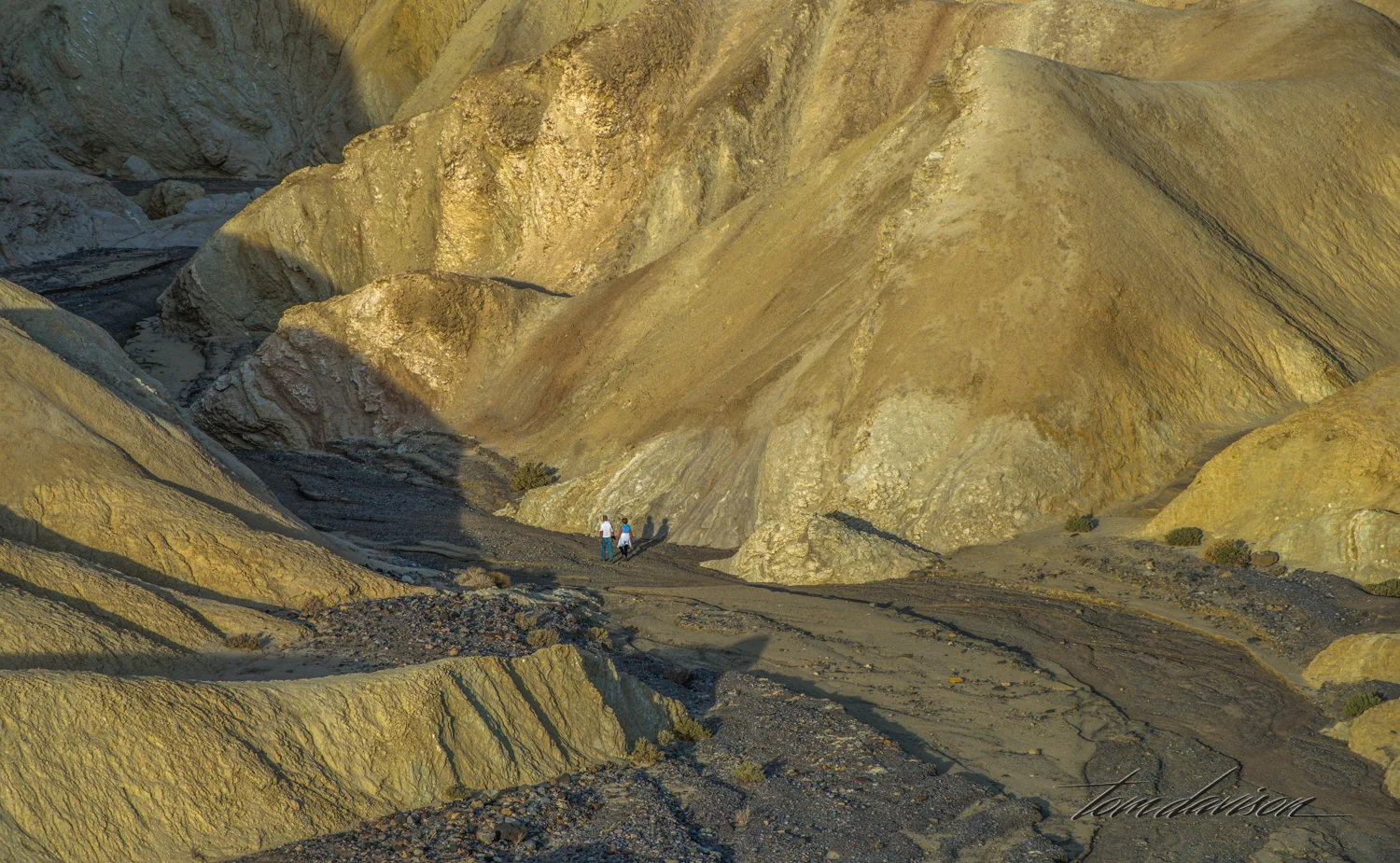 Zabriskie 2 TD-21.jpg
