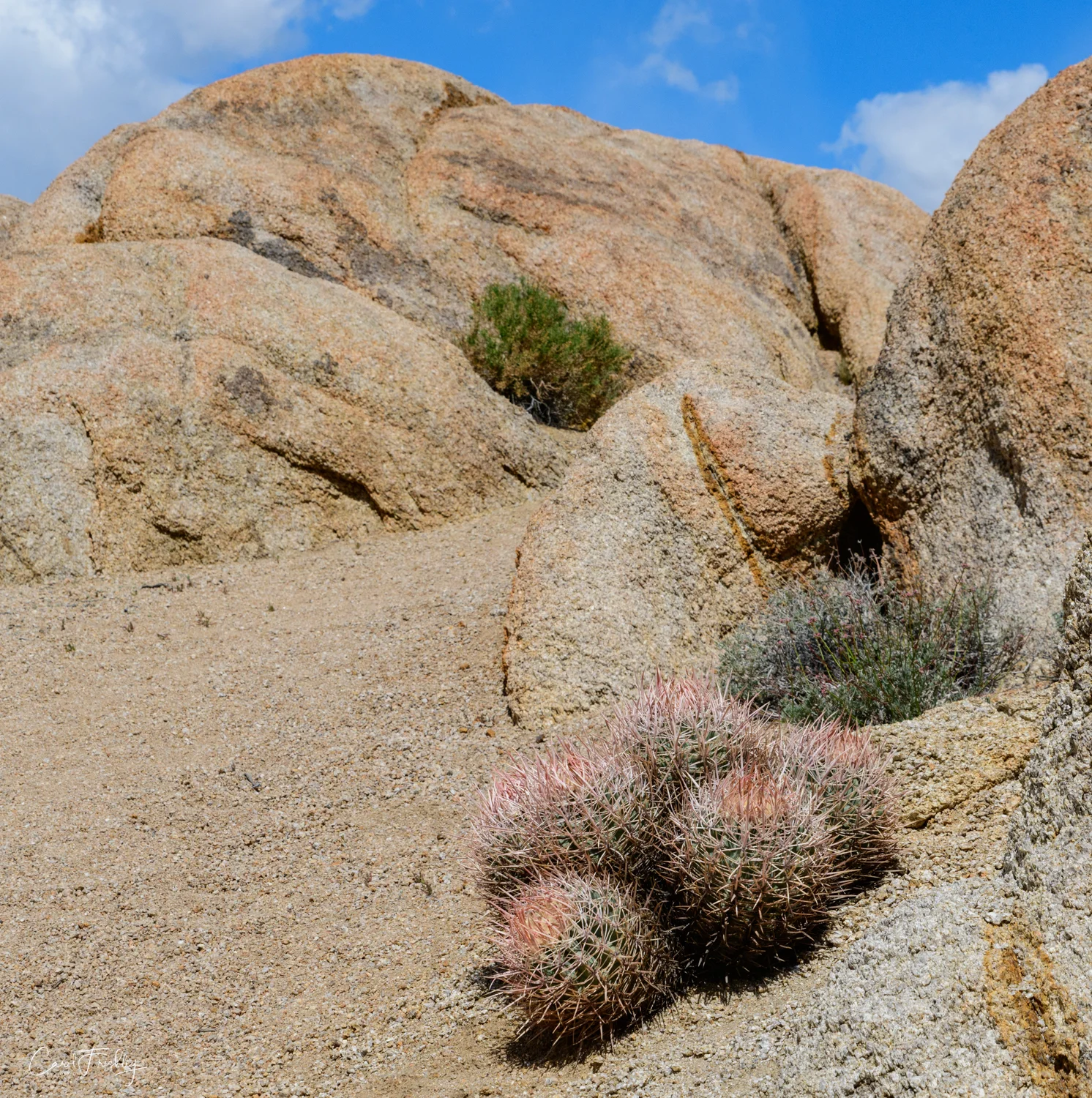 Alabama Hills-15.jpg