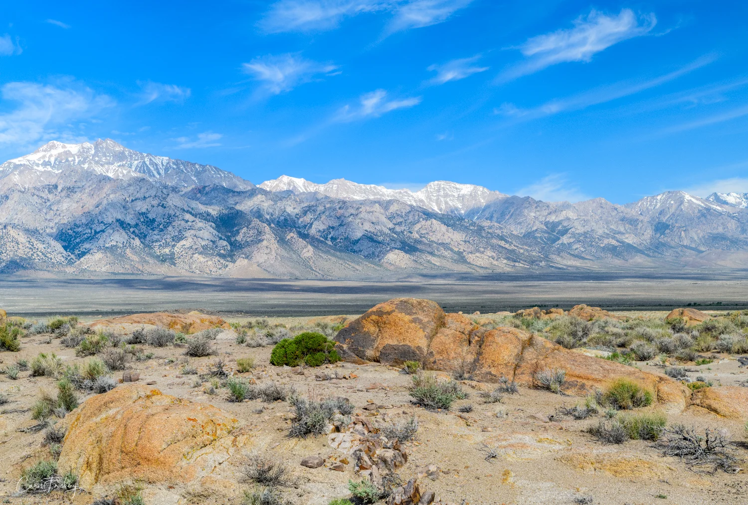 Alabama Hills-105.jpg