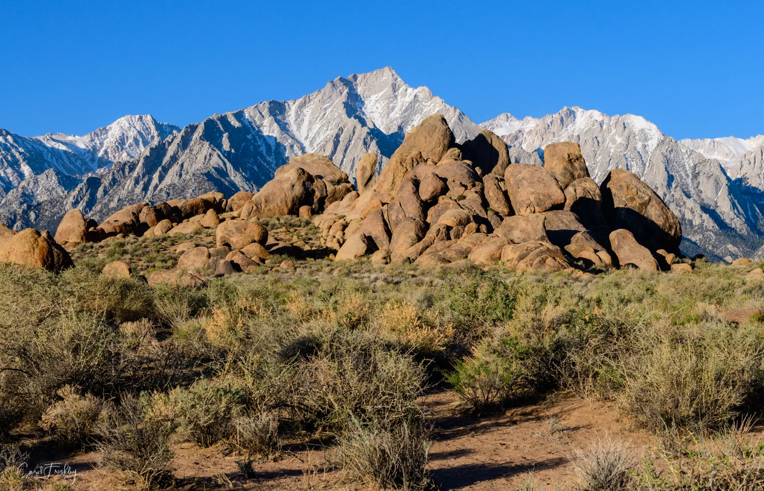 Alabama Hills-6.jpg