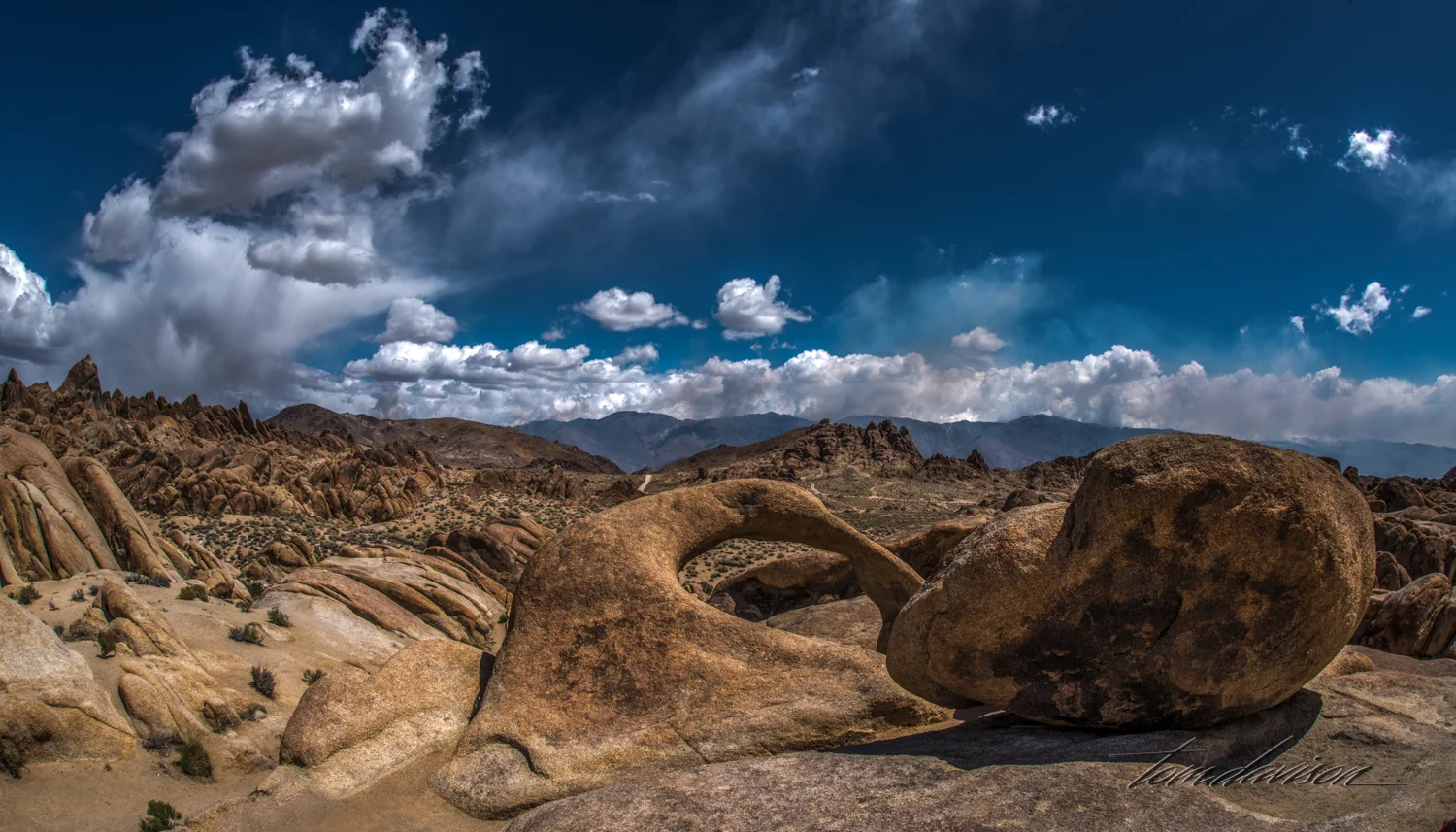 Arches-5.jpg