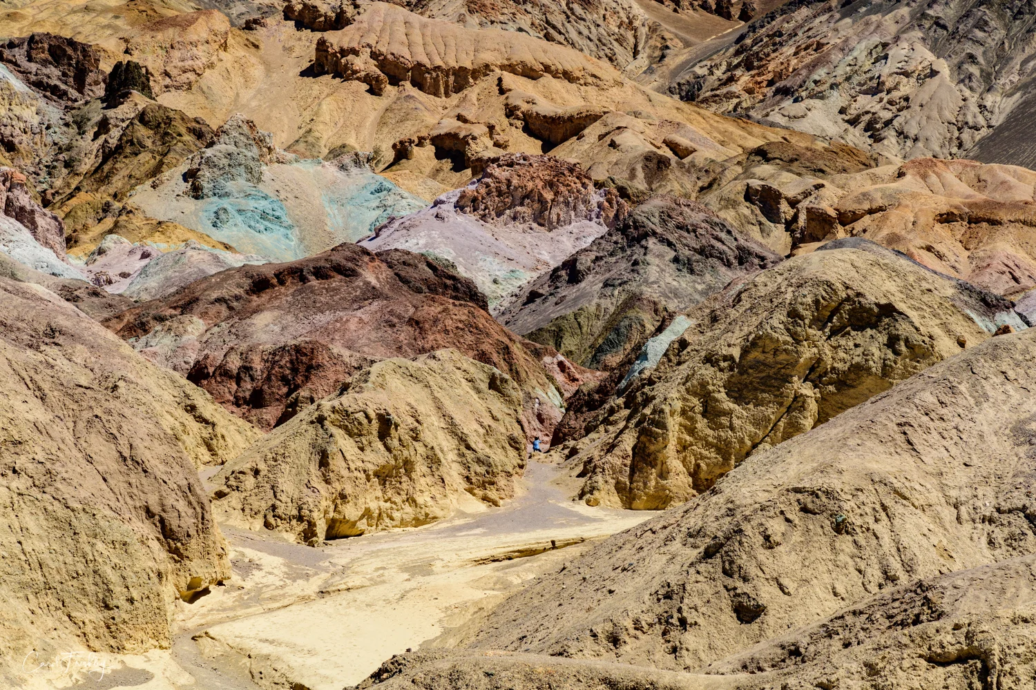 Artists' Palette-35.jpg