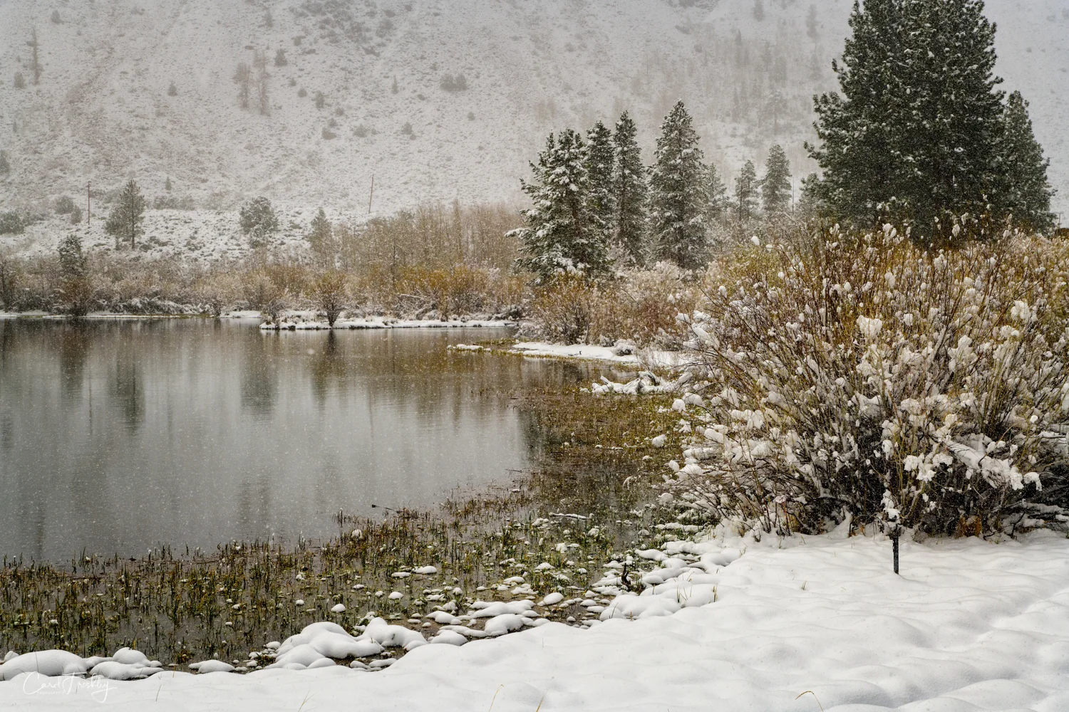One large pond made for some interesting photography.