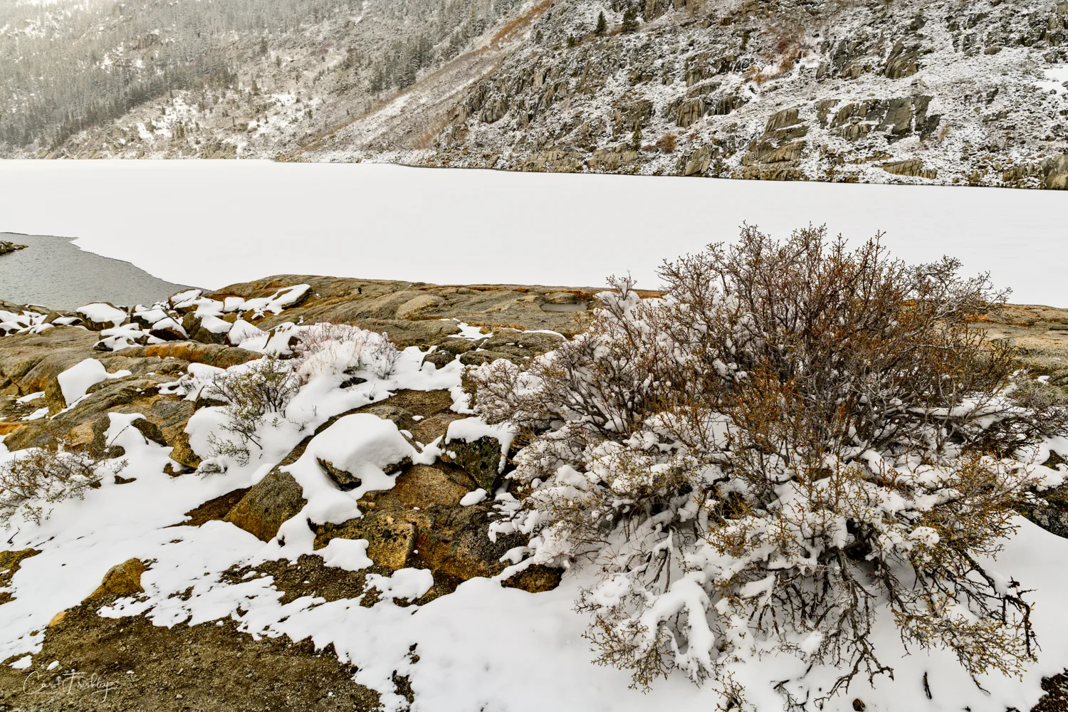 This is really South Lake, even though it looks like White Lake!