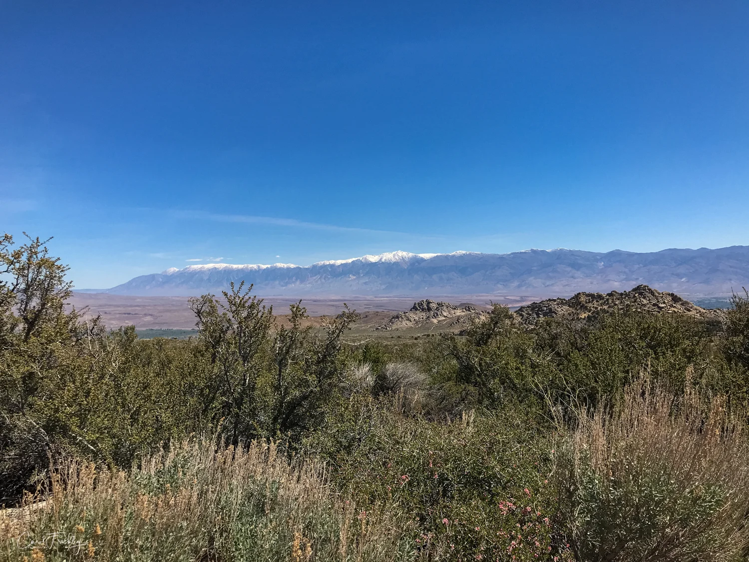 Buttermilk Canyon-21.jpg