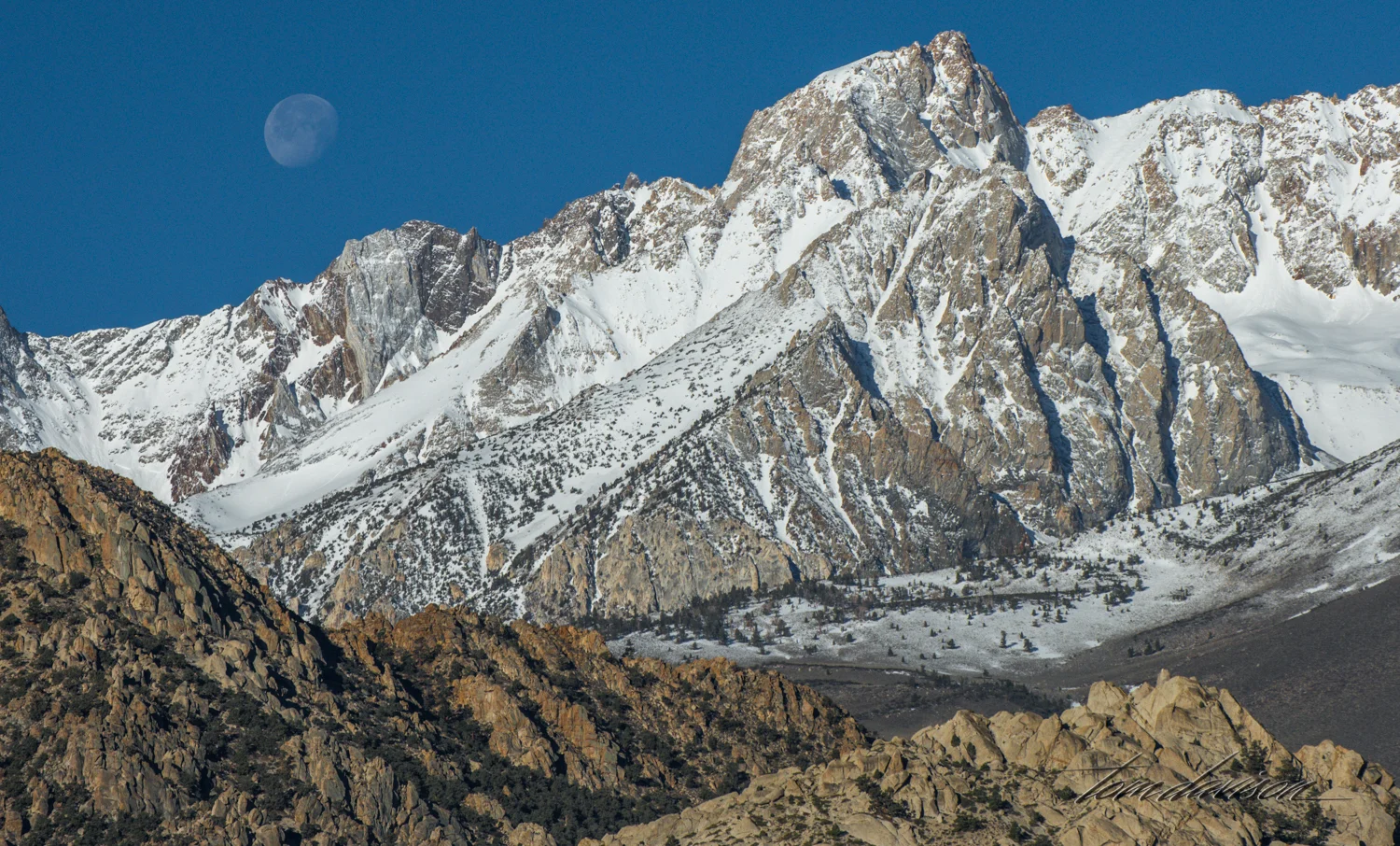 Buttermilk-1.jpg