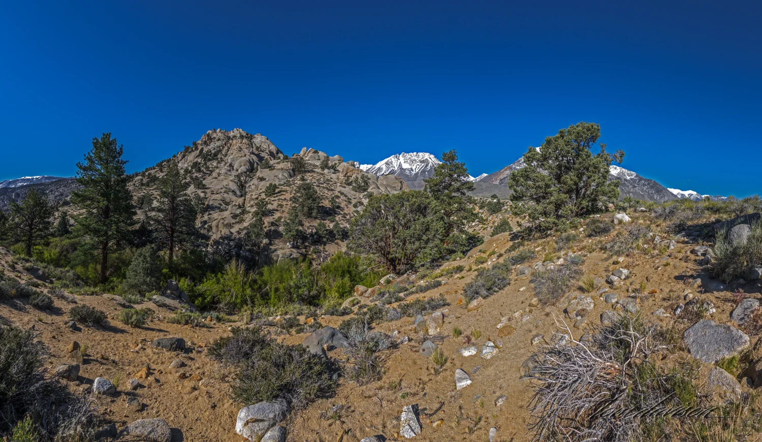 Buttermilk-6.jpg