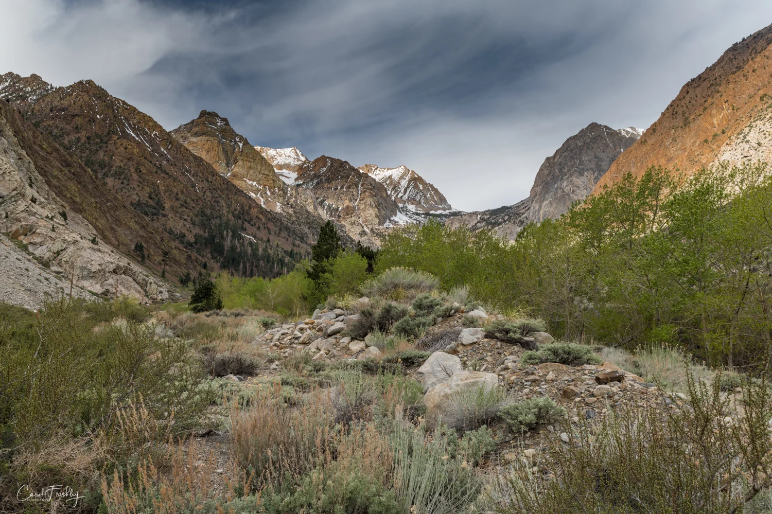 Looking towards the back of the canyon. The creek runs along the right side.