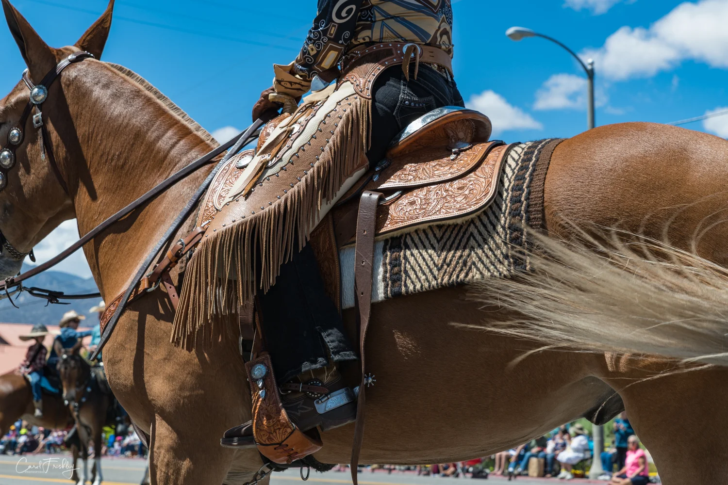 Mules deserve fine saddles just like horses.
