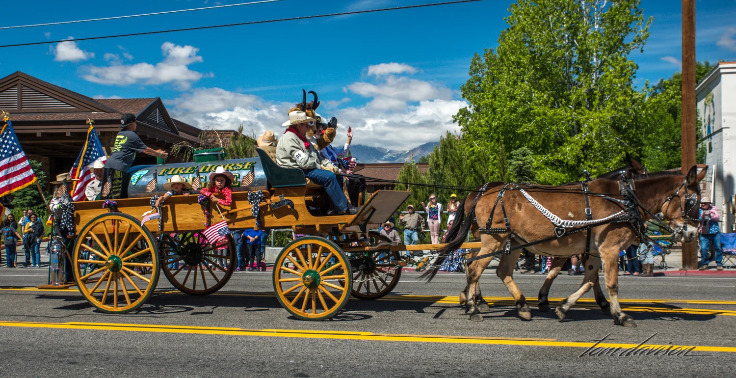 Mule Days TD-6.jpg