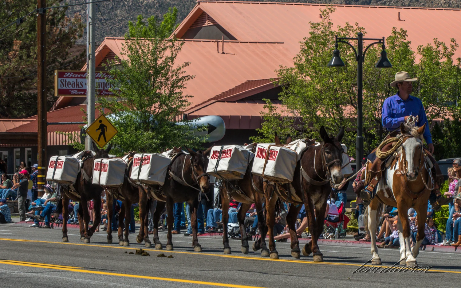This was a common item in the parade as different packing companies advertised their services and gave us an idea of how the might look on the trail.