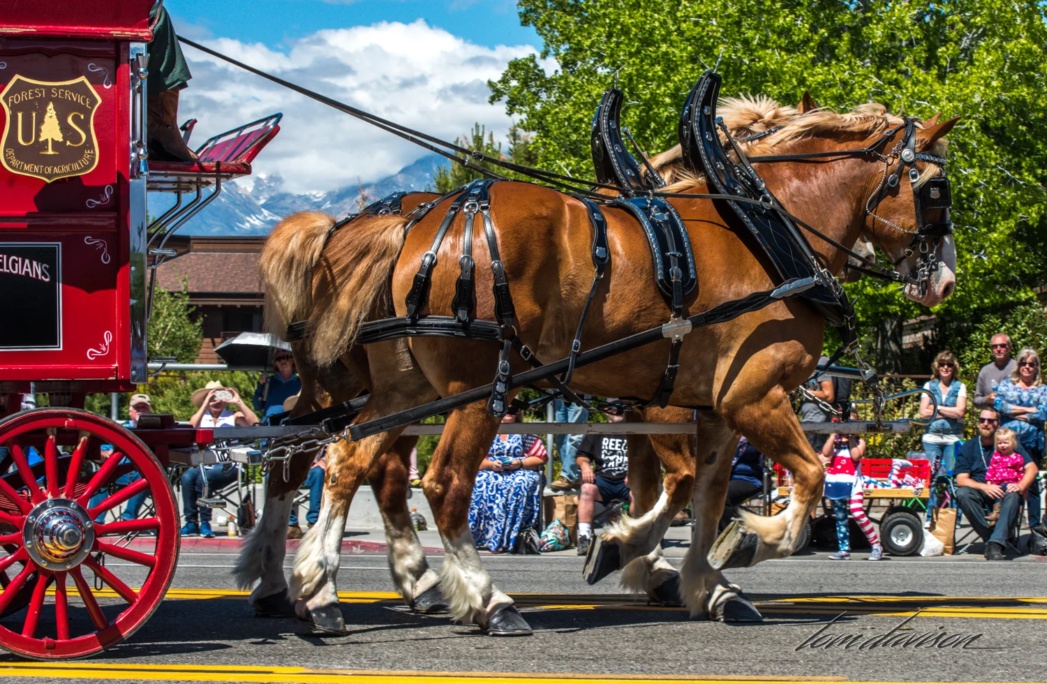 Mule Days TD-22.jpg