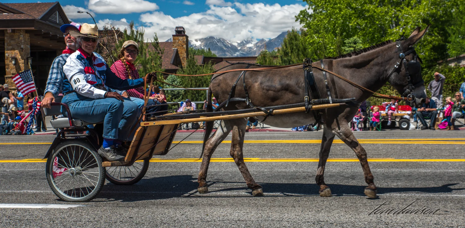 Mule Days TD-36.jpg