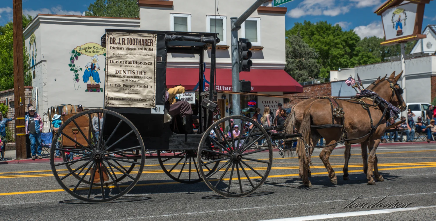 Mule Days TD-38.jpg