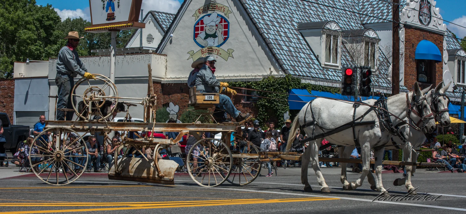 Mule Days TD-47.jpg