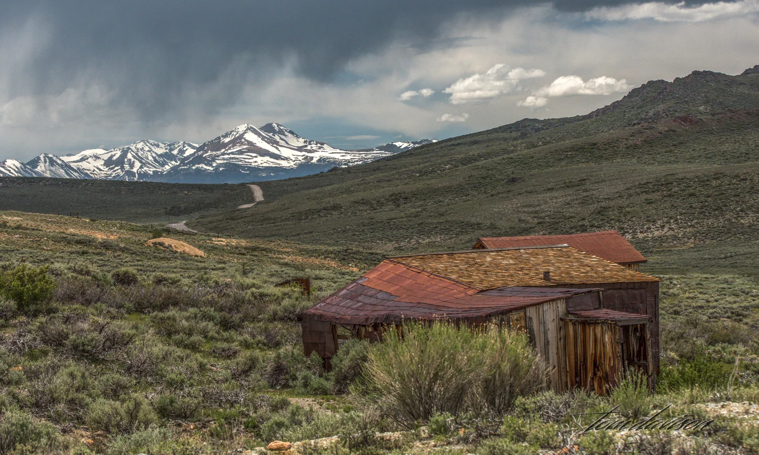Bodie TD-39.jpg