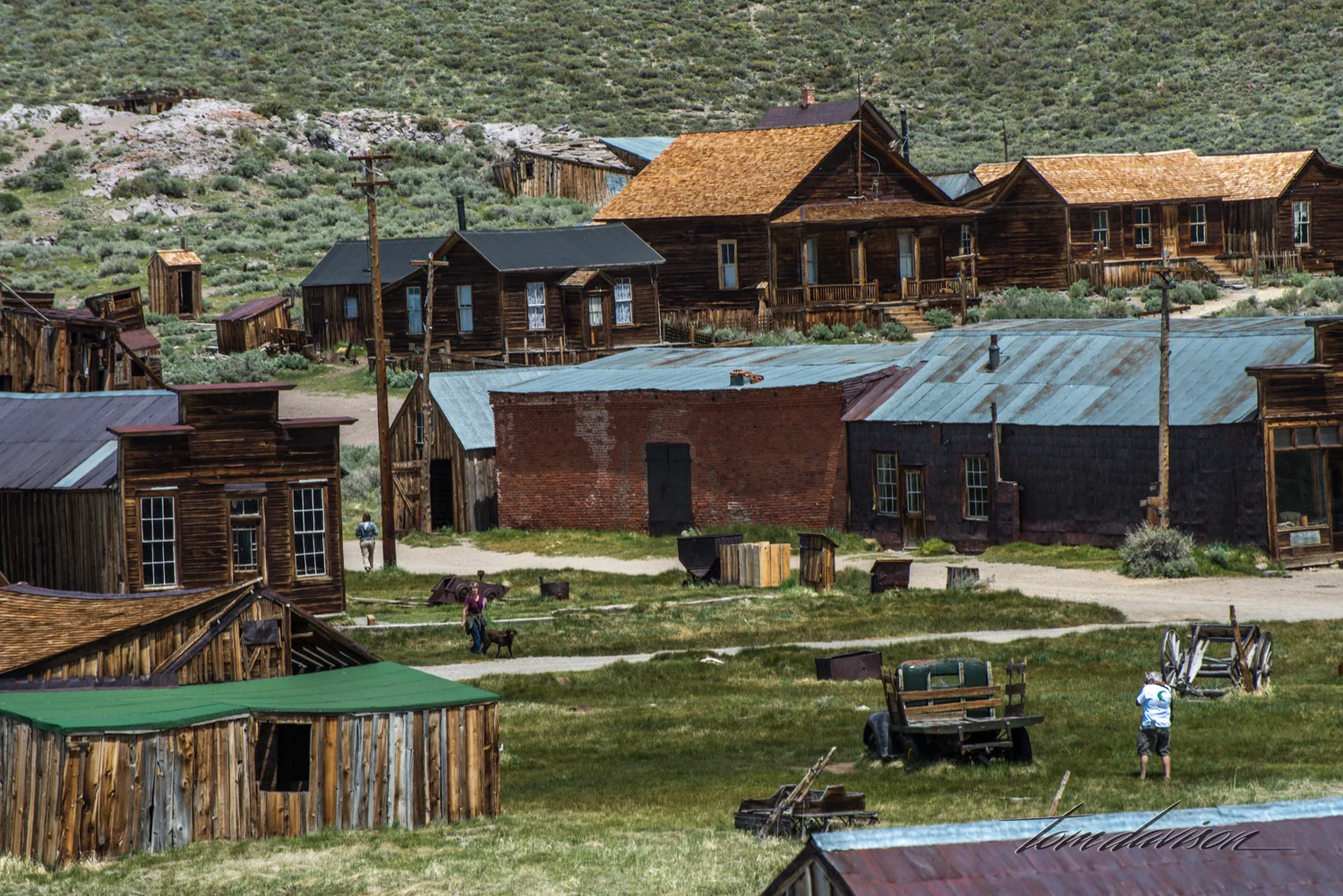 Bodie TD-22.jpg