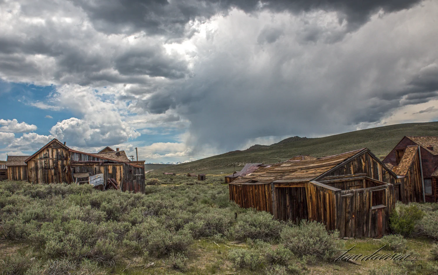 Bodie TD-43.jpg