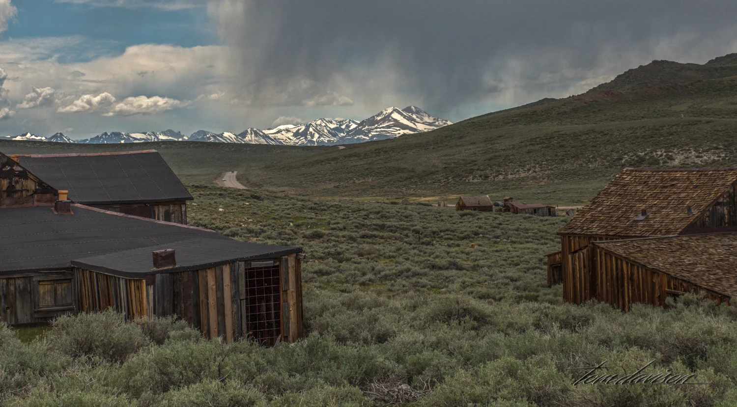 Bodie TD-41.jpg