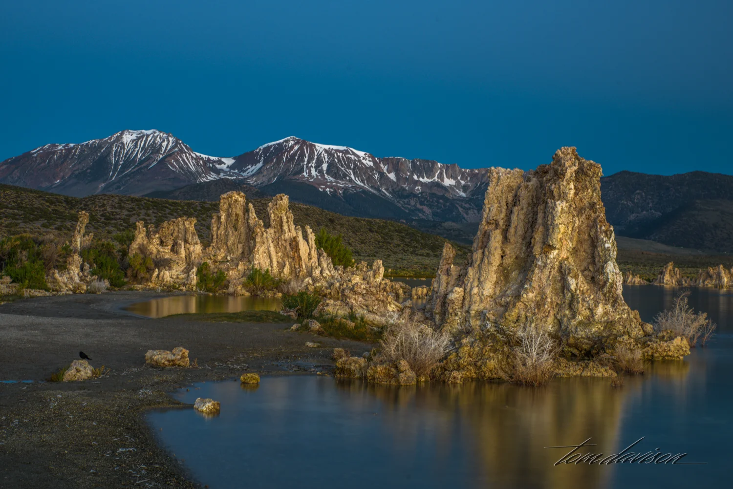 Mono Lake TD-32.jpg