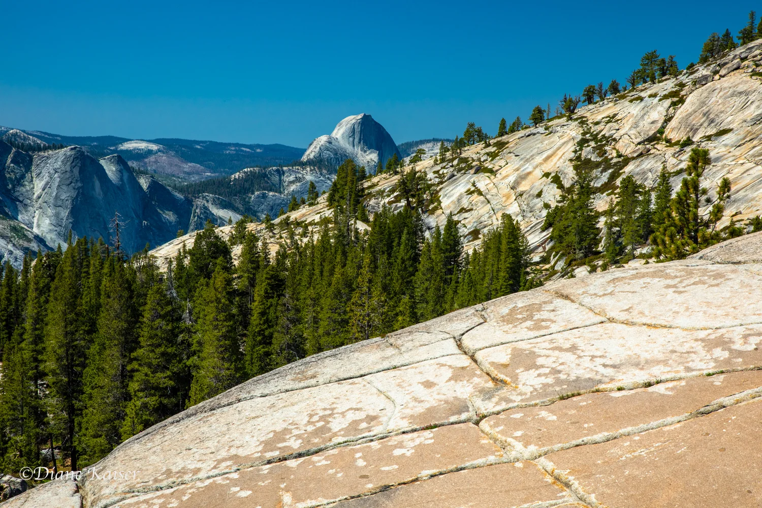 DK Tioga Pass-11.jpg