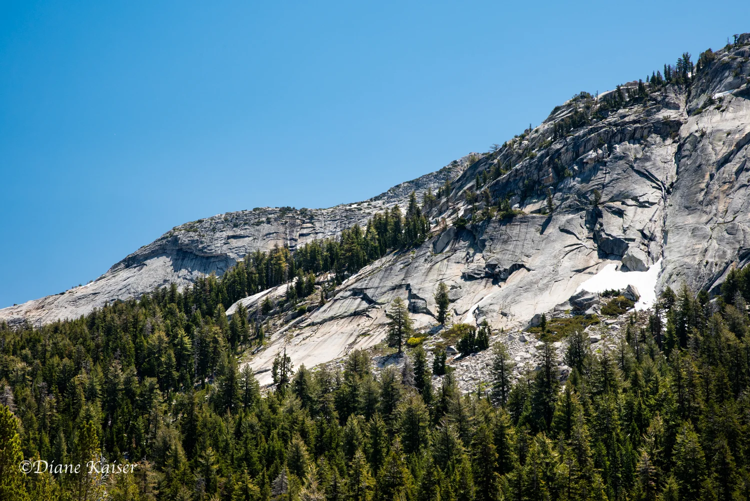 DK Tioga Pass-16.jpg