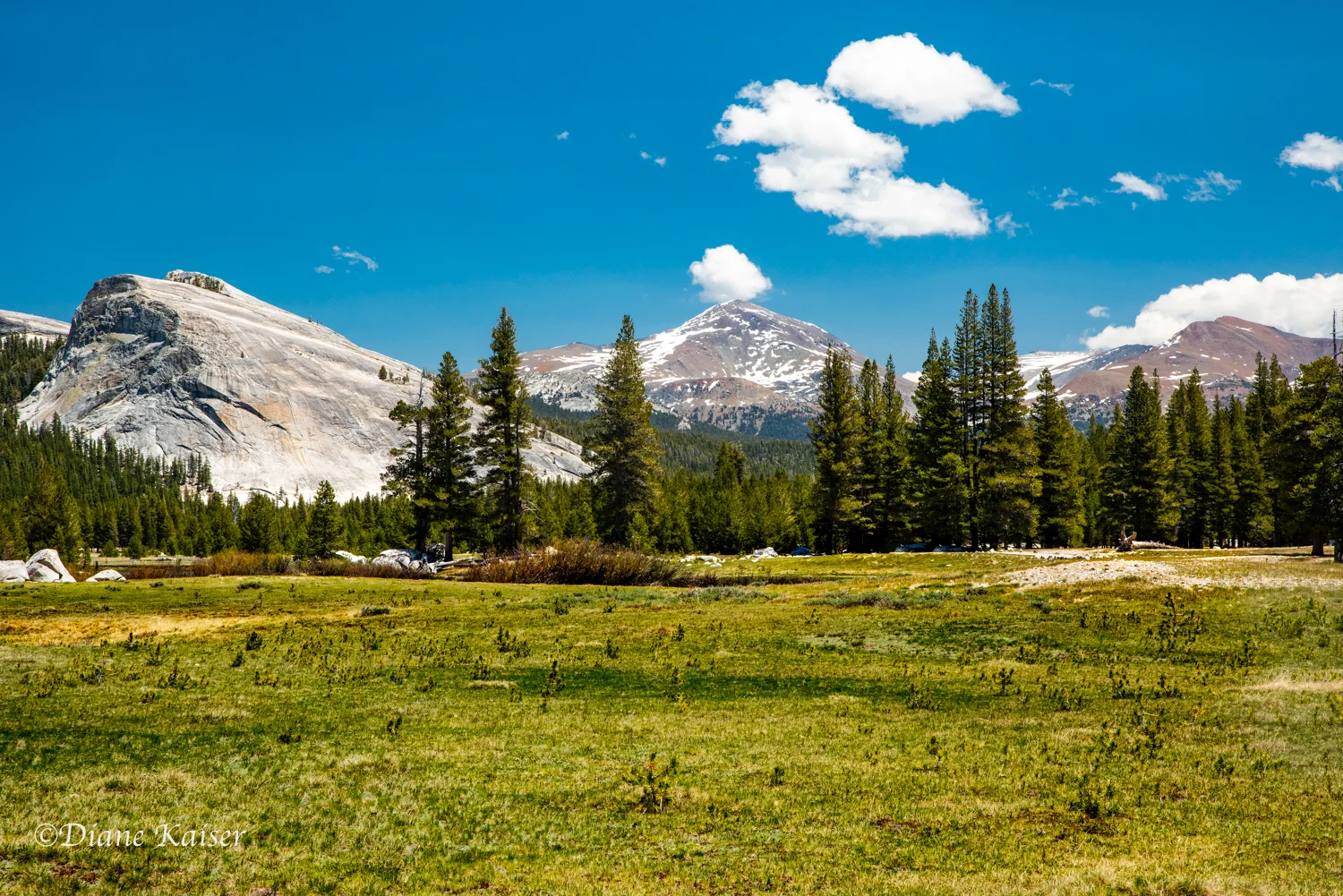 DK Tioga Pass-21.jpg