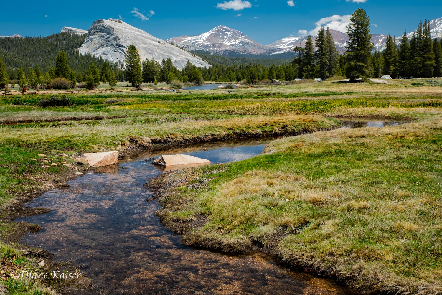 DK Tioga Pass-24.jpg