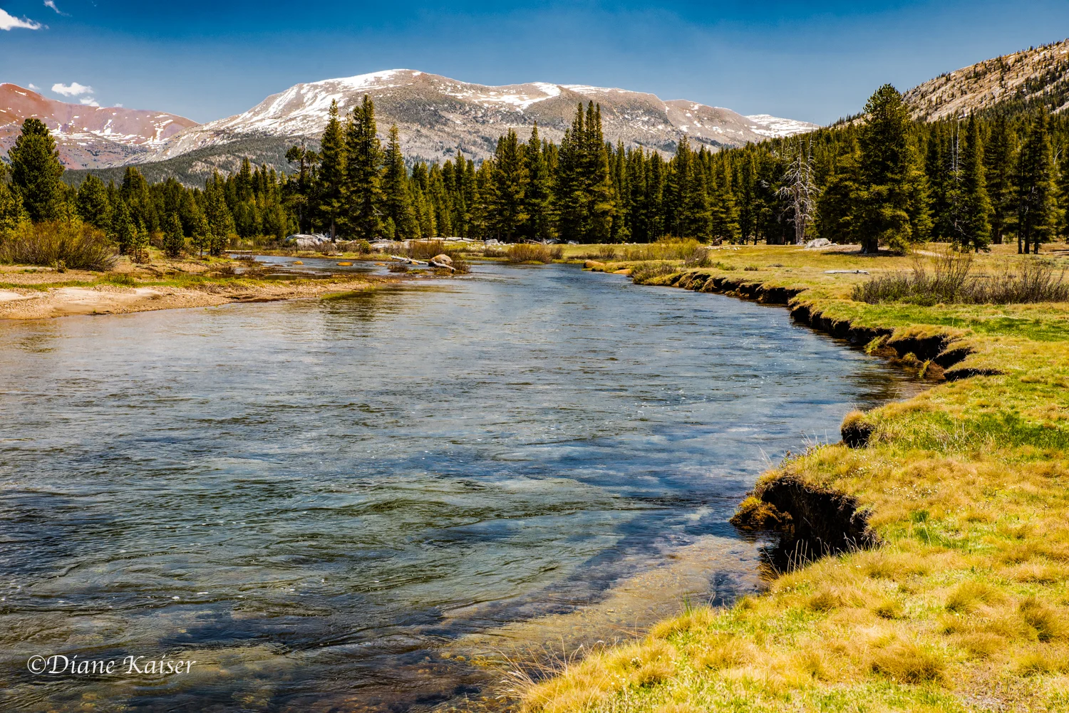 DK Tioga Pass-27.jpg