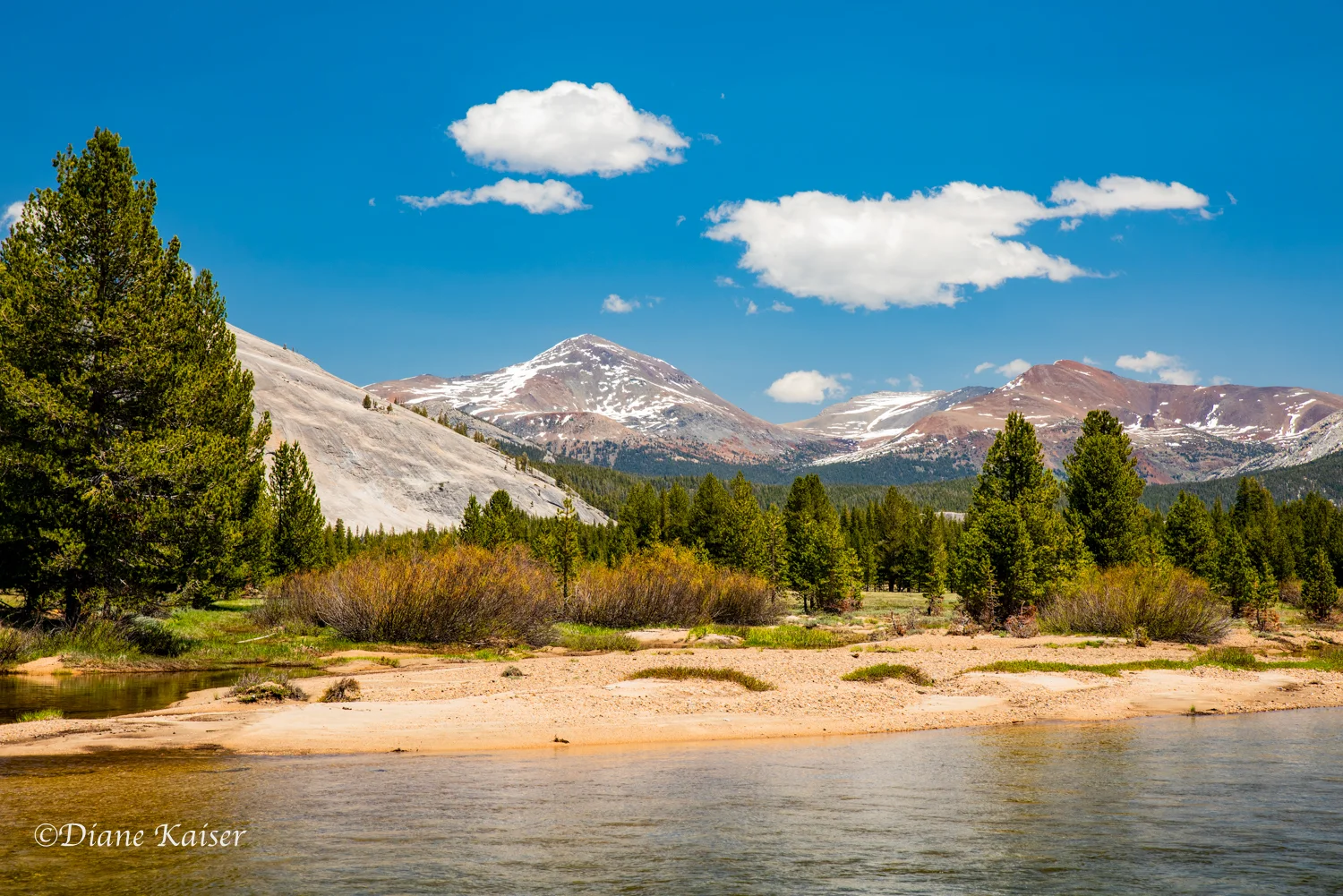 DK Tioga Pass-28.jpg
