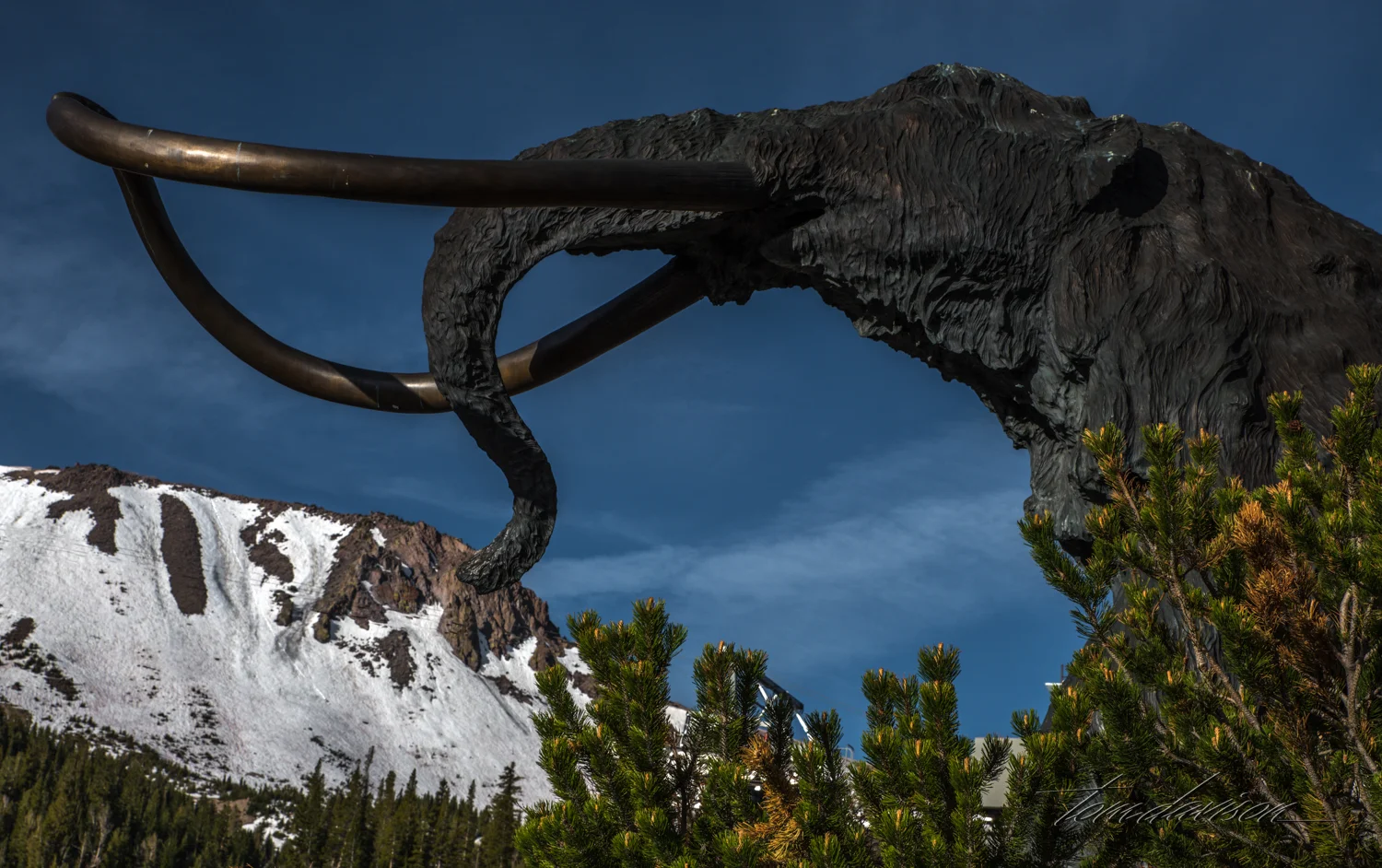 TD Mammoth Lakes-11.jpg