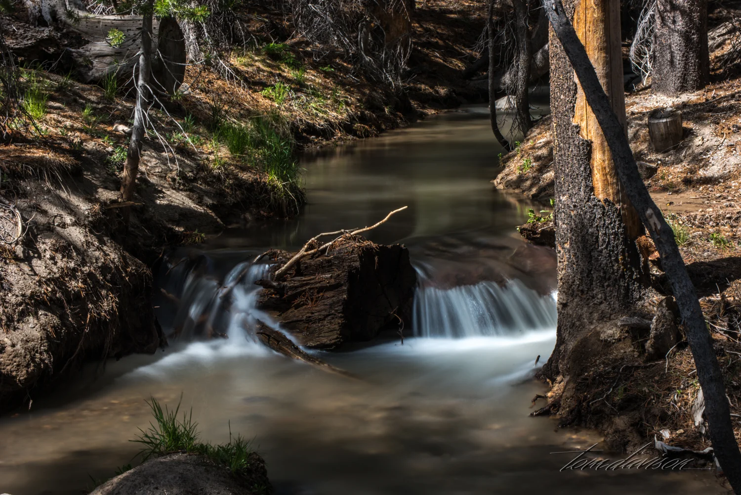 TD Mammoth Lakes-17.jpg